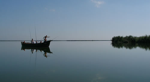 fishing on the danube