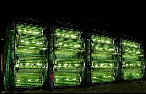 Hydroponic Garden on Omega Hydroponic Garden Claims More Yield For Less Energy   Greenpacks