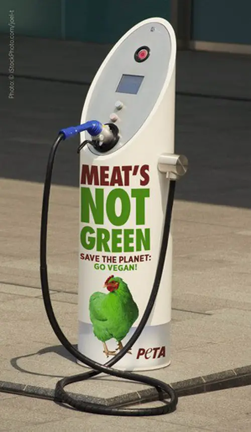 peta electric cars vegan ad PETA to Use EV Charging Stations For Displaying Vegan Ads