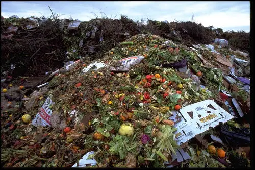 foodwaste1 British Shoppers Throw Away 10% of Groceries Shopped Every Week