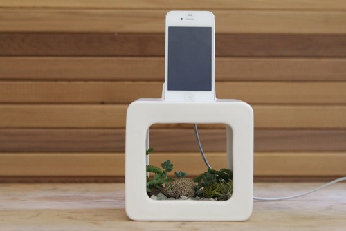 bloombox Apple iPhone Docking Station with Planter  
