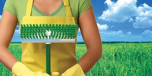 green home cleaning Going Green for a Professional Clean